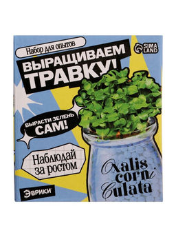 Набор для опытов Выращиваем травку, своими руками, голубой - Эврики фото 10