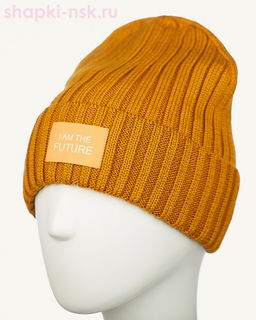 017 1S/1 IF SHM Дарвел Колпак мужской (58-60)