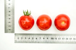 Томат Черри Литл Пинки - Партнер фото 5