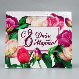 Цена за 2 шт. Пакет подарочный ламинированный, упаковка, С днём 8 марта, ML 25?21?8 см
