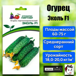 Огурец партенокарпический Эколь