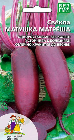 Свёкла МАТУШКА МАТРЁША  Одноростковая! Без колец! Устойчива к болезням! Отлично хранится до весны!