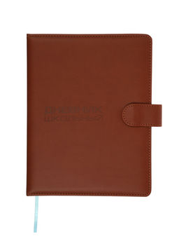 Дневник школьный 1-11 класс, ляссе, обложка искусственная кожа, с хлястиком, коричневый
