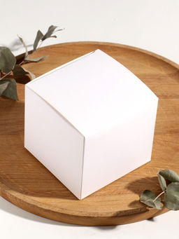 Ароматическая свеча в подсвечнике «Суккуленты», 1 фитиль, белый чай, 11×11×10 см