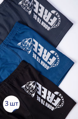 Трусы-боксеры для мальчика 3 шт. Baykar