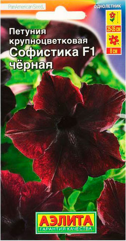 Петуния Софистика черная F1 темно-бордовая 4шт. (Аэлита)