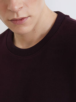 Bisiklet Yaka Erkek Sweatshirt