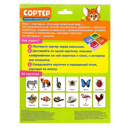 Сортер Изучаем животный мир с карточками Домана - Iq-zabiaka фото 5