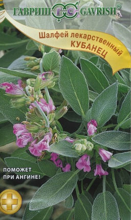 Шалфей Кубанец лекарственный 0,3гр (г)