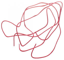 Шнурки Braus 3109  фото 2