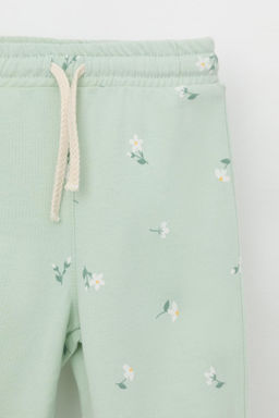 КР 400796/пастельно-зеленый,милые цветочки к543 брюки д/дев яс