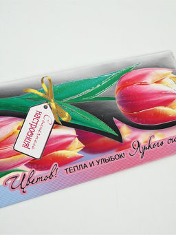 Цена за 10 шт. Конверт для денег Солнечного настроения!, 16.5?8 см