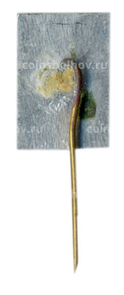 Значок Друскининкай