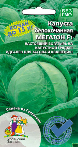 Капуста МЕГАТОН F1 Богатырь на капустной грядке! Кочаны как колобки-великаны: круглые, плотные, тяжёловесные, массой до 15 кг! Засолочная!