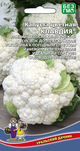 Капуста цветная КЛАВДИЯ  Белоснежный урожай головок до 1,2 кг каждая!