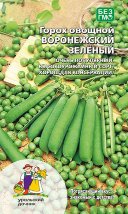 Горох ВОРОНЕЖСКИЙ ЗЕЛЁНЫЙ Ультраскороспелый! Популярный, высокоурожайный сорт! Самый лучший для консервации!