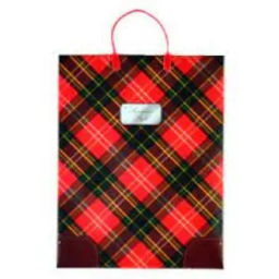 9957 Сумка пластик. BAL 173 (32*42*10см) большая, Красная клетка *20