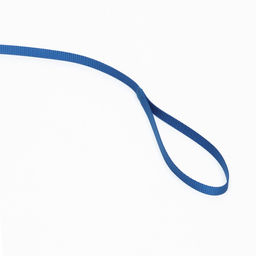 Поводок 120 х 1 см, полиэстер, синий - Пижон фото 3