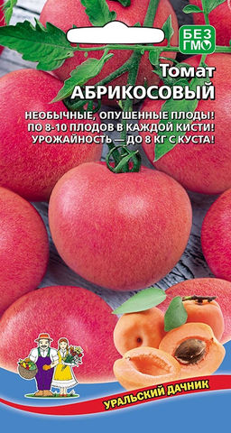 Томат АБРИКОСОВЫЙ Необычные, опушенные плоды! По 8-10 плодов в каждой кисти! Урожайность до 8 кг с куста!