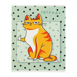 Комплект тетрадей из 5 штук, 48 листов в клетку Calligrata «Коты», обложка мелованный картон, блок офсет