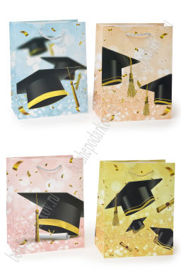 Пакет 26*32*12 см (12 шт) SF-7569, микс №43