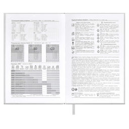 Ежедневник датированный 2024 ESCALADA, А5, 176 л., арт. 63747/ 15 ПЛОНЖЕ МЕТАЛЛИК СЕРЕБРЯНЫЙ  фото 6