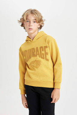Толстовка оверсайз с капюшоном и принтом для мальчиков - Defacto фото 3
