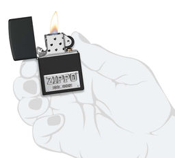 Зажигалка ZIPPO Номерной знак | License Plate 48689  фото 6