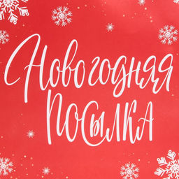 Цена за 2 шт. Пакет подарочный новогодний ламинированный квадратный «Новогодняя посылка», 30×30×12 см
