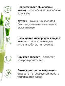 Витграсс + Барлейграсс - 100% порошок из молодых зеленых ростков пшеницы и ячменя - Sneko Gold фото 3