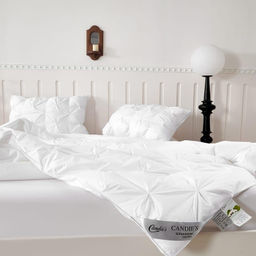 Одеяло Candies с подушками Тесто ODCANPT01 Евро