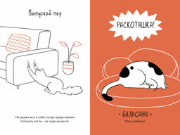 Кот всему голова. Кошачьи мудрости для жизни без стресса. Баваньоли Д.