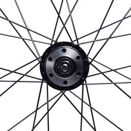 Колесо велосипедное 20" заднее в сборе, алюминий, под трещ, диск 6-болт, без гаек