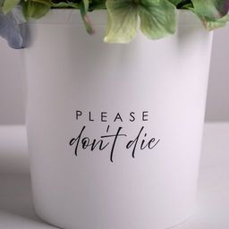 Кашпо для цветов «Please do not die», 1.6 л, 14×14 см