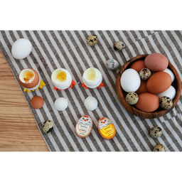 Таймер для варки яиц Доляна «Цыплёнок», кухонный, пластик, 6×3.5×3.5 см