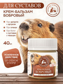 Крем-бальзам бобровый, для суставов, пластик, 40 мл, «Природа кавказского долголетия»