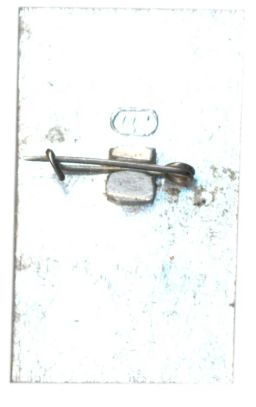 Значок И.Тургенев