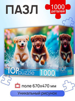 TOPpuzzle 1000 элементов "Бегущие щенки" (ХТП1000-8737)