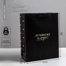 Цена за 2 шт. Пакет подарочный ламинированный, упаковка, «Лучшему из лучших», MS 18×23×10 см