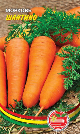 Морковь ШАНТИНО Устойчива к цветушности! Длительная сохранность корнеплодов! Повышенное содержание каротина!