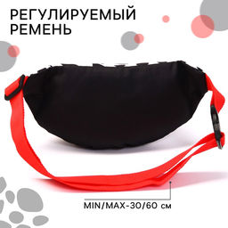 Сумка поясная, 25×6×13 см, Злодейки