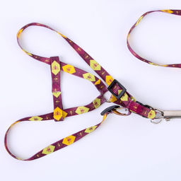 Комплект Пчёлы, шлейка 24-36 см, поводок 120х1 см - Пушистое счастье фото 2