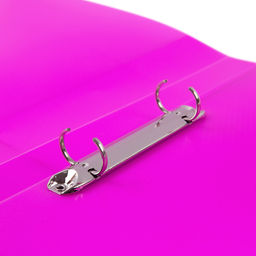 Expert Complete PRISMA NEON Папка на 2 О-кольцах A4 700 мкм 25 мм эффект 3D 4 шт. d - 20 мм пурпурный EC211300022