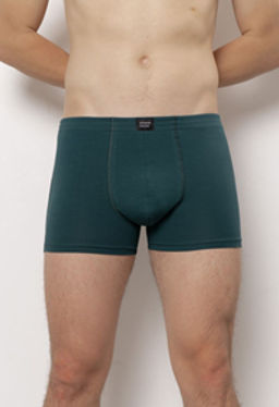 ТРУСЫ МУЖСКИЕ арт. 6523M-40010.1L-718