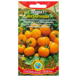 Цена за 3 шт. Семена Томат "Янтарный" ультраскороспелый, 25 шт