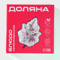 Блюдо сервировочное Доляна «Лаванда», 21×15×4.5 см, белое