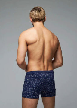 Трусы мужские боксеры Rogers 83142 модал, эластан размеры M, L, XL, 2XL  фото 4