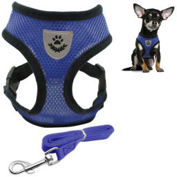 Цена за 2 шт. Шлейка с поводком 118см "Sweet puppy" размер ХL, цвет голубой