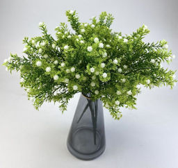 Гипсофила белая 35 см, декоративное растение