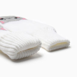 Новогодний подарочный набор Подарочек варежки размер 19 и аксессуары